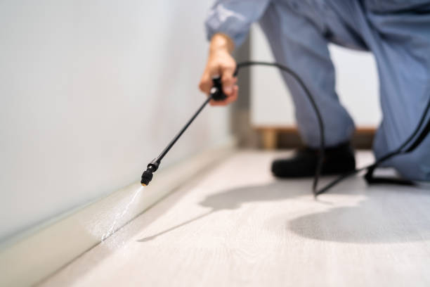 Bed Bug Pre-Treatment Preparation Assessment in Virginia