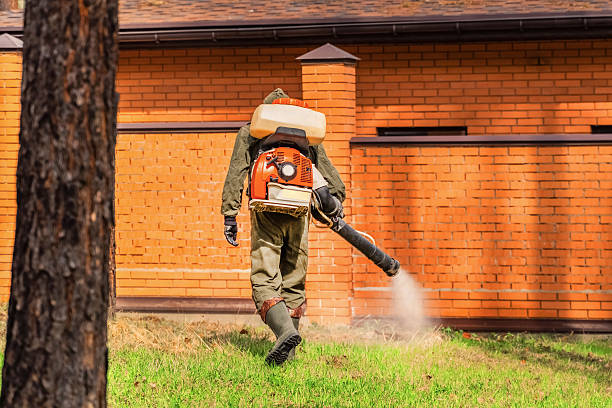 Bed Bug Clearance Verification and Documentation in Virginia